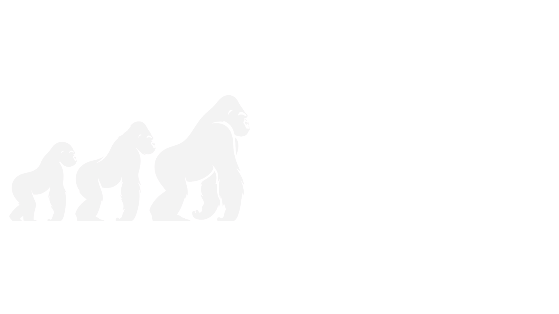 gorillarise.net